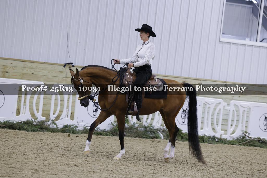 Proof 25R13_10031