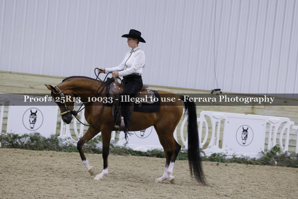 Proof 25R13_10033
