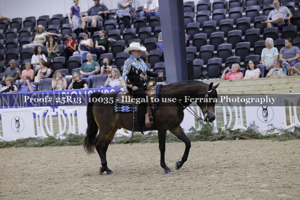Proof 25R13_10035