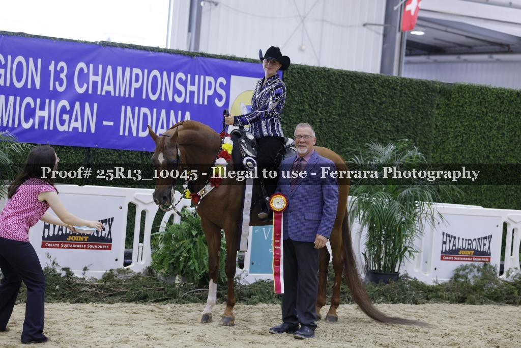 Proof 25R13_10045