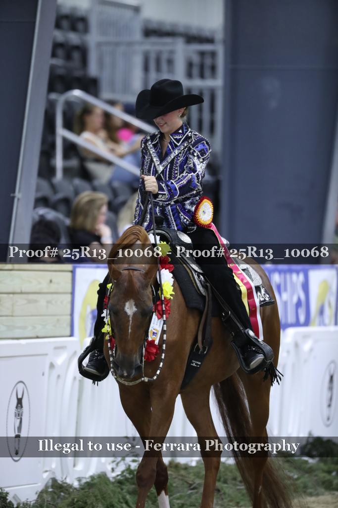 Proof 25R13_10068