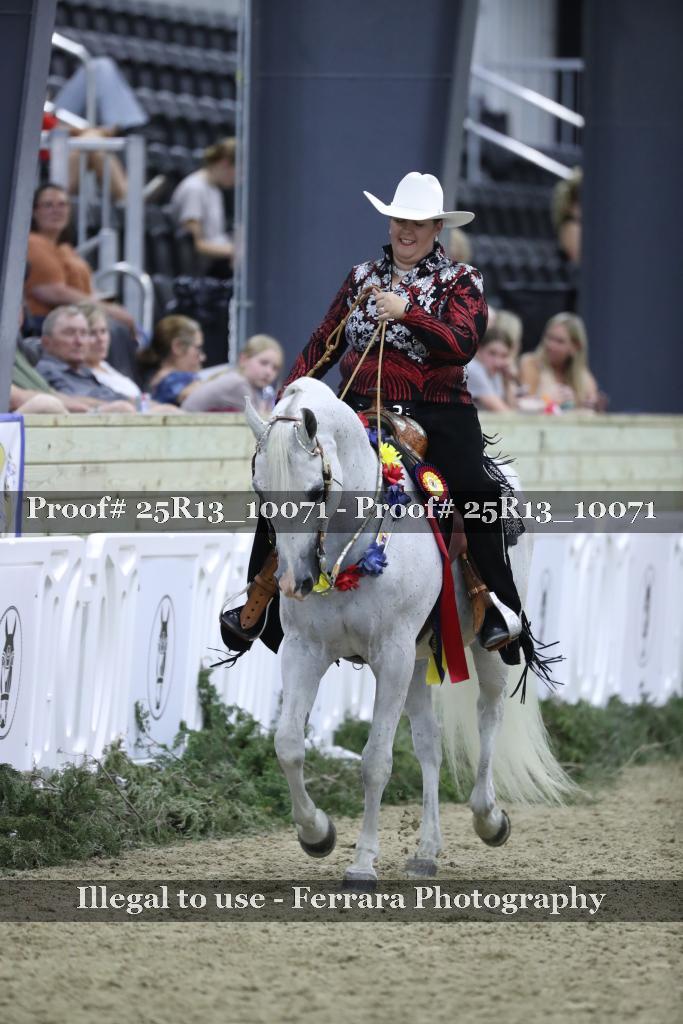 Proof 25R13_10071