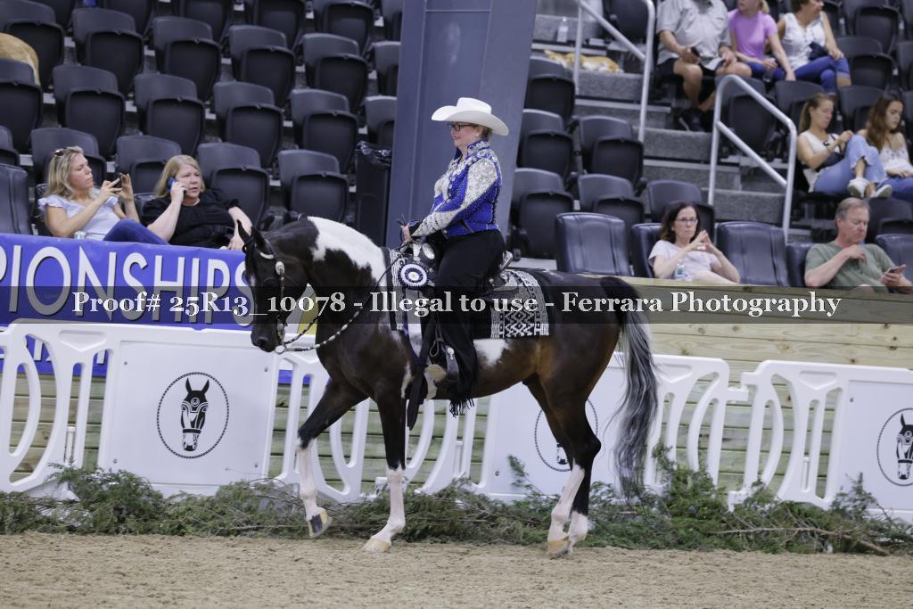 Proof 25R13_10078