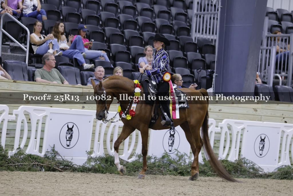 Proof 25R13_10082