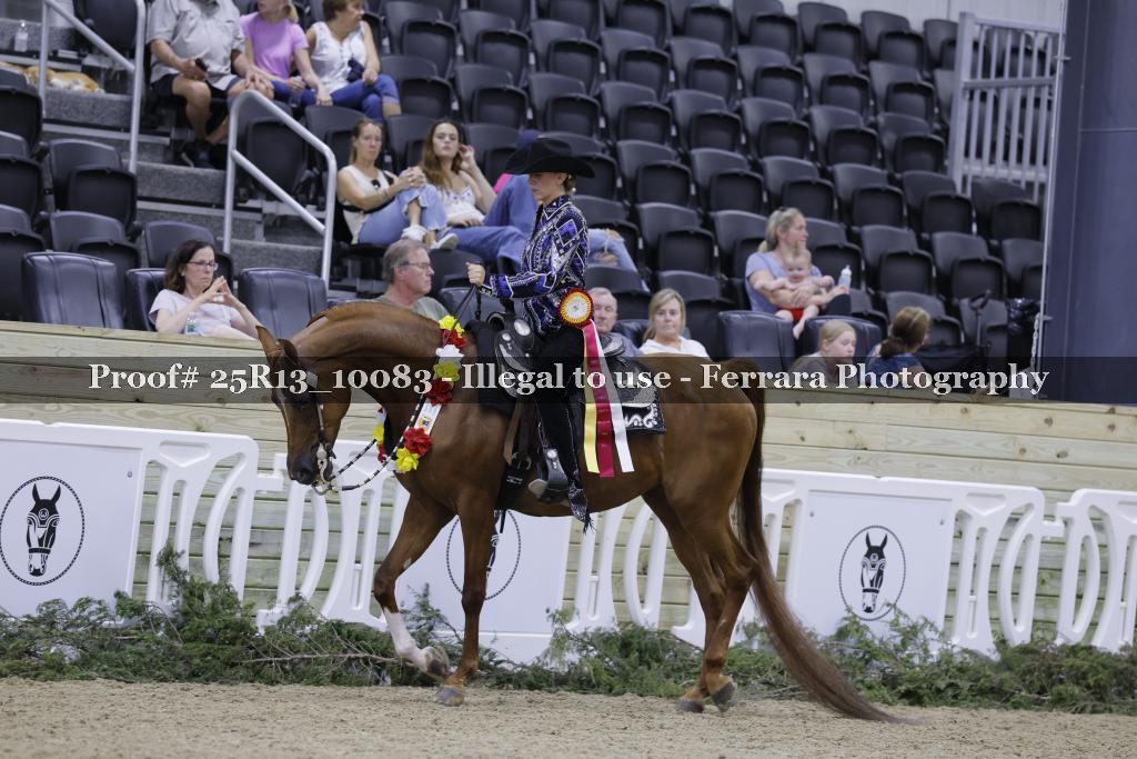 Proof 25R13_10083