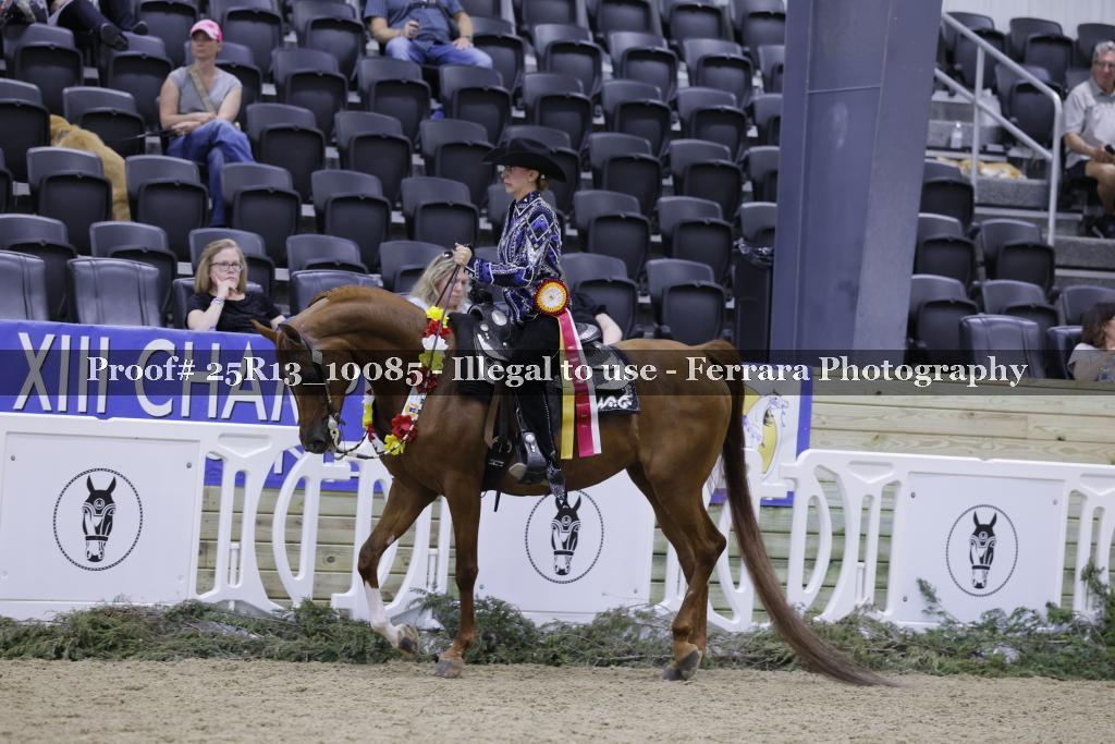 Proof 25R13_10085