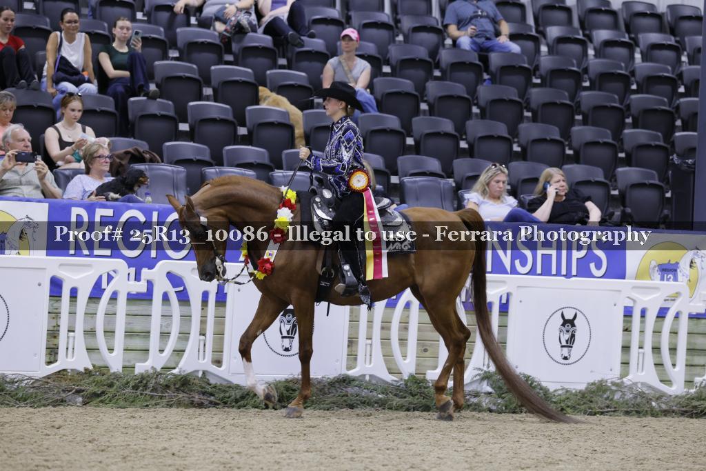 Proof 25R13_10086