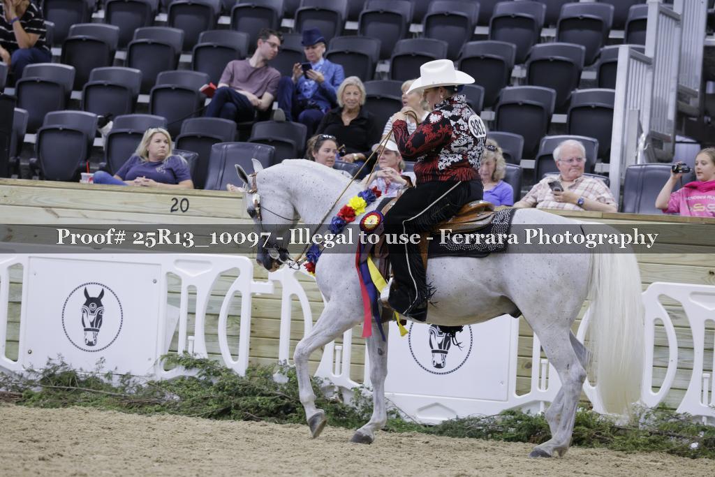 Proof 25R13_10097