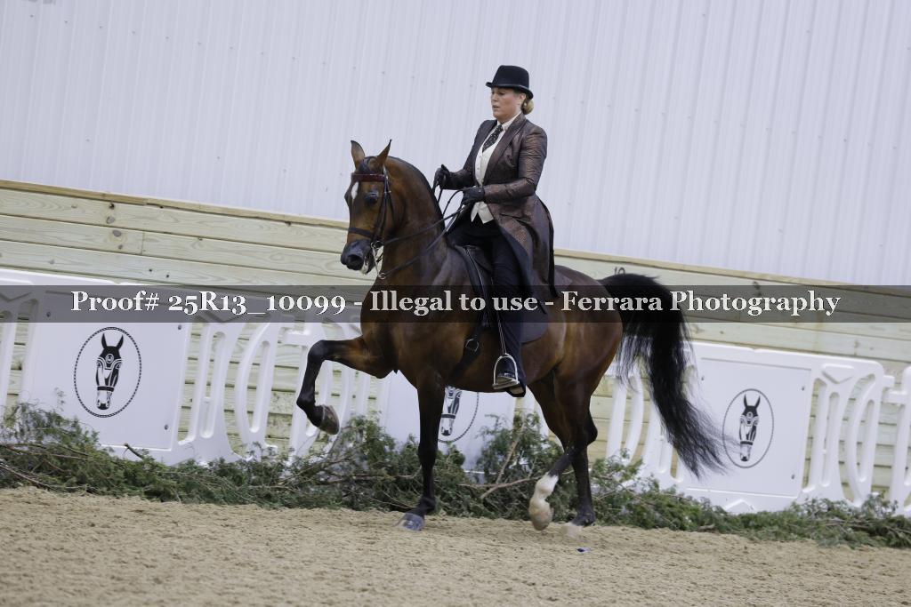 Proof 25R13_10099