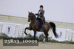 25R13_10099 proof