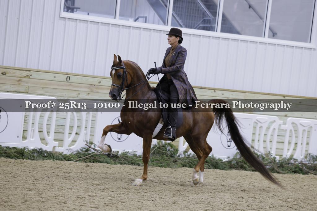 Proof 25R13_10100