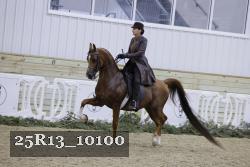 25R13_10100 proof