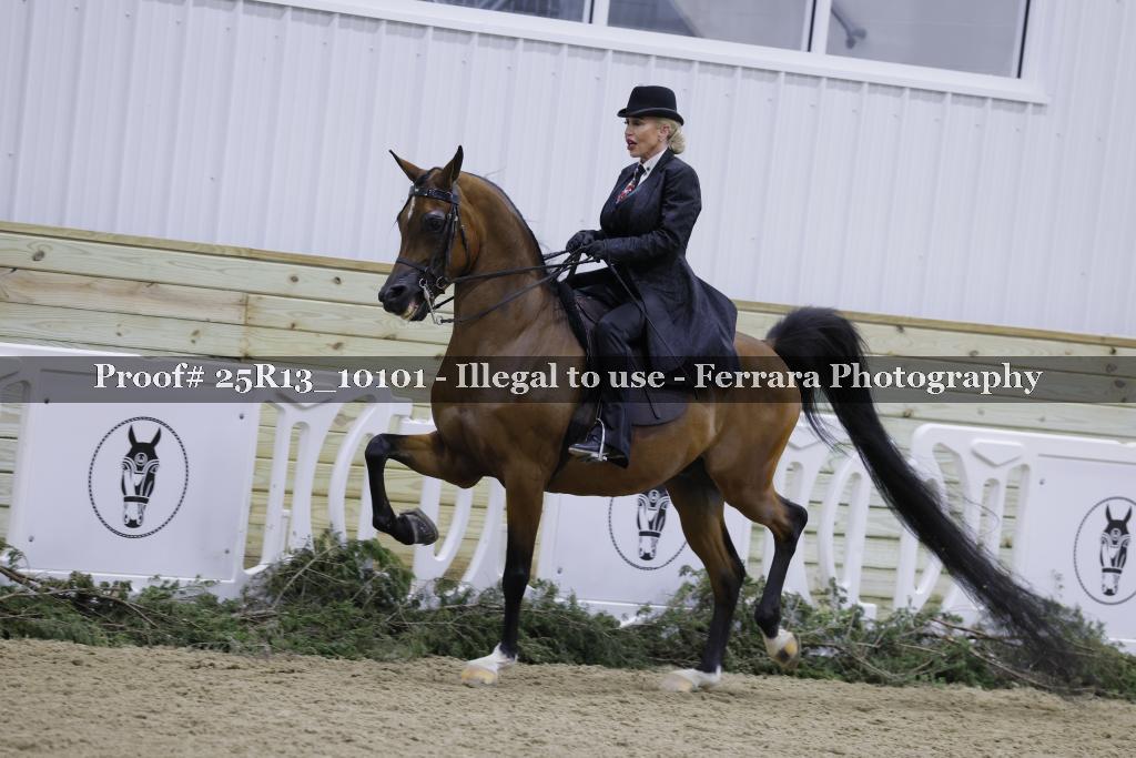 Proof 25R13_10101