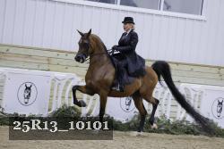 25R13_10101 proof