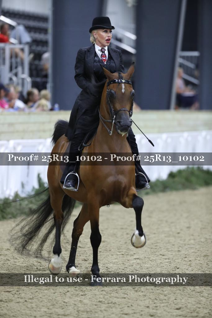 Proof 25R13_10102