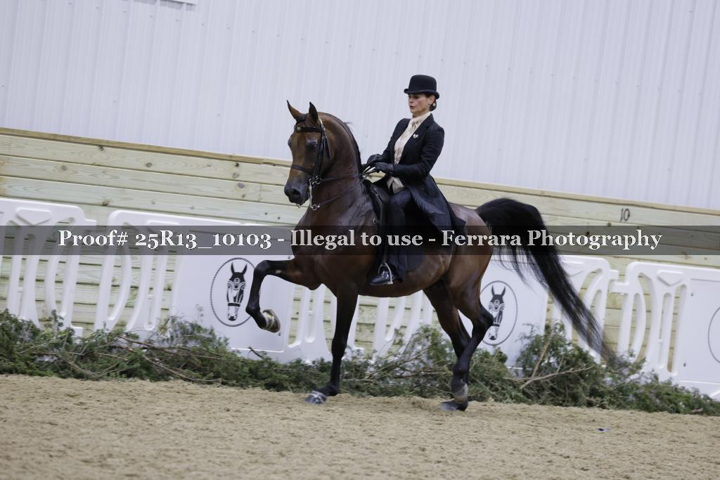 Proof 25R13_10103