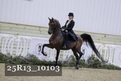 25R13_10103 proof