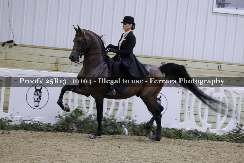Proof 25R13_10104