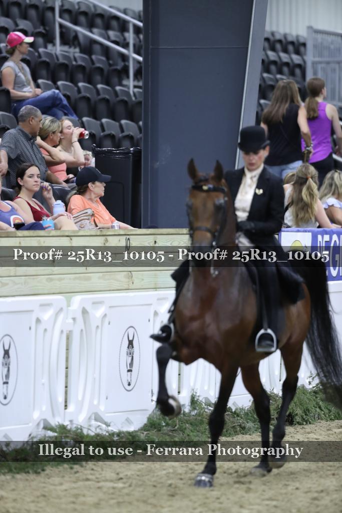 Proof 25R13_10105