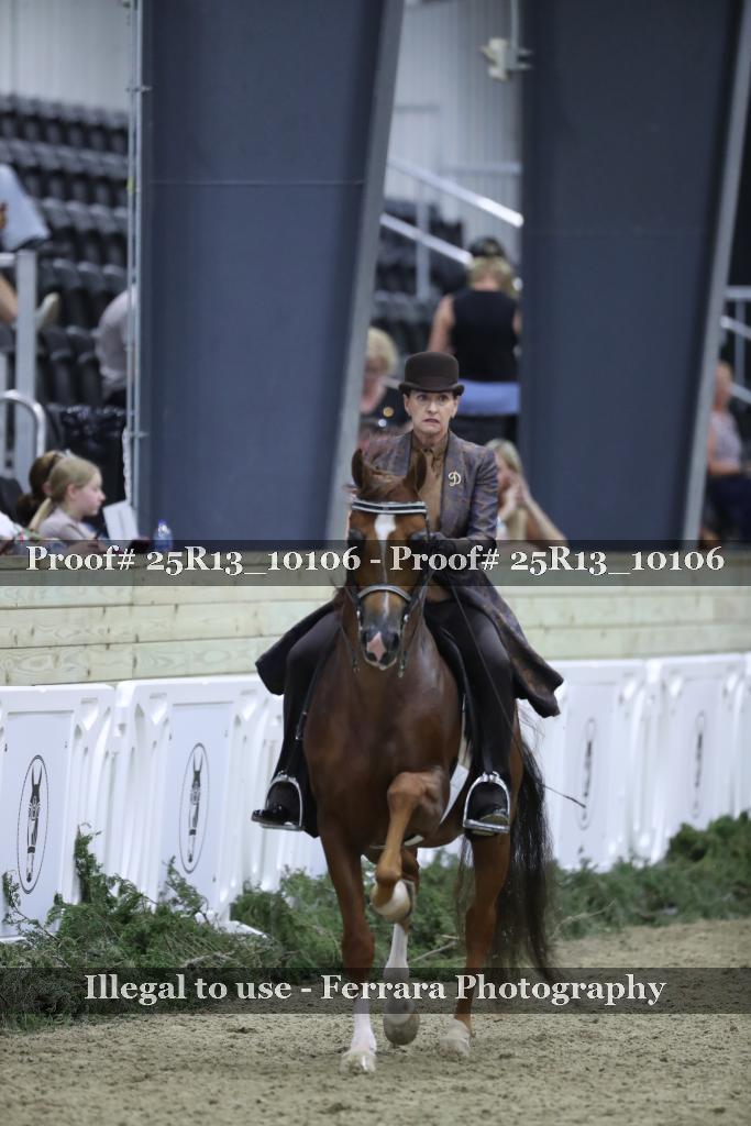 Proof 25R13_10106