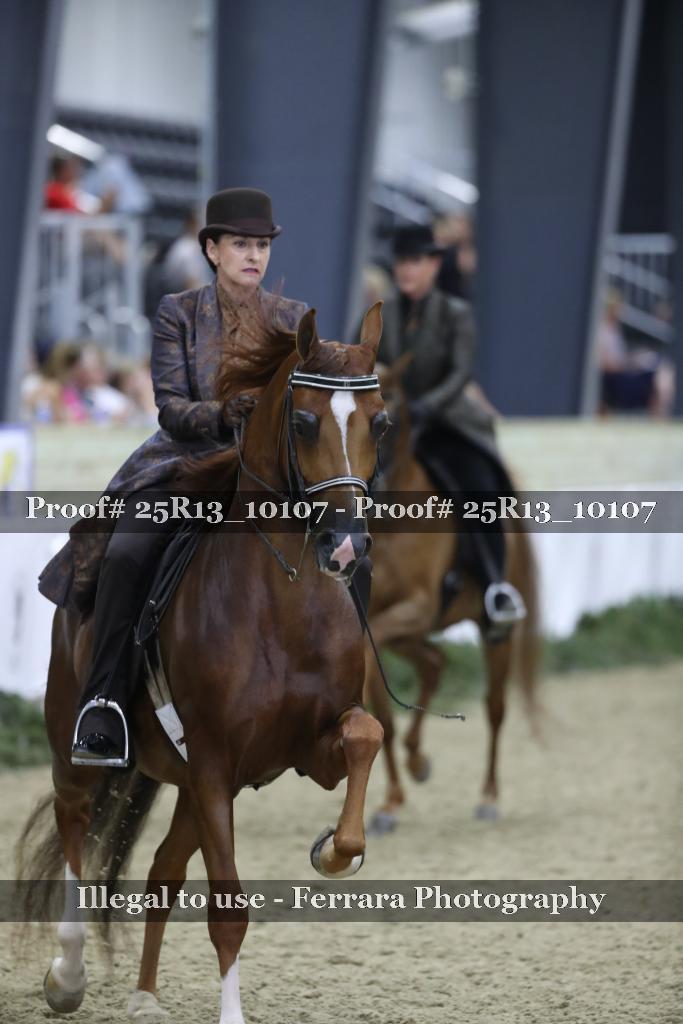 Proof 25R13_10107