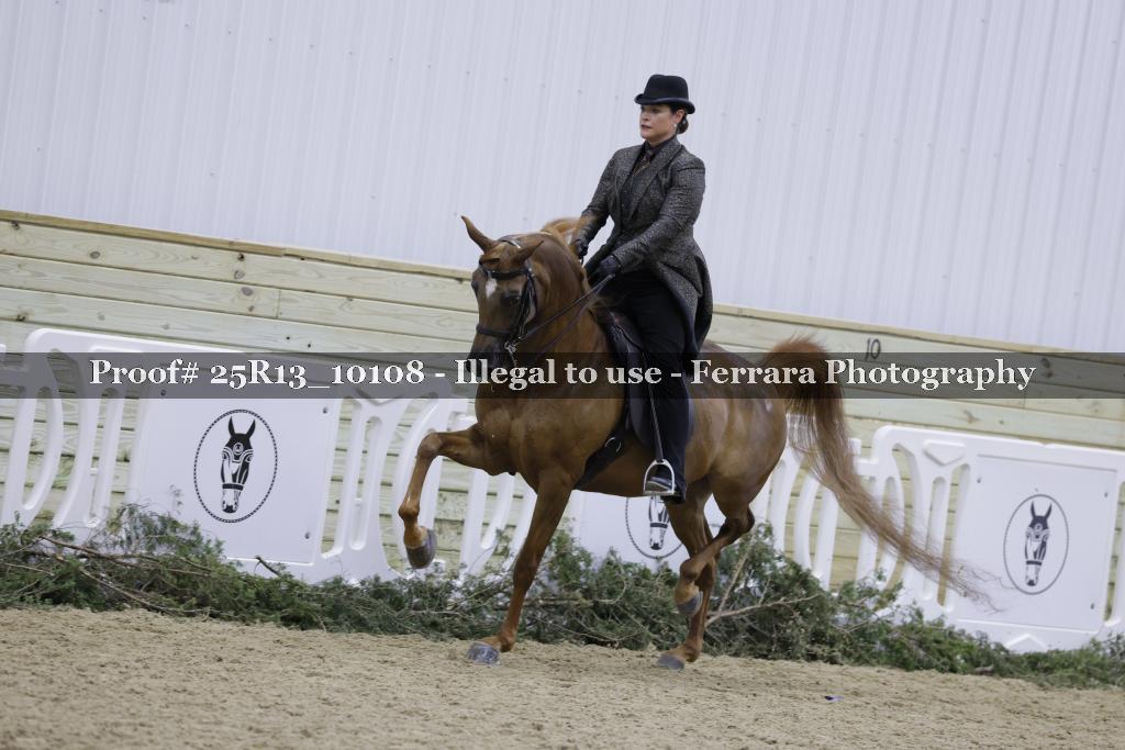 Proof 25R13_10108