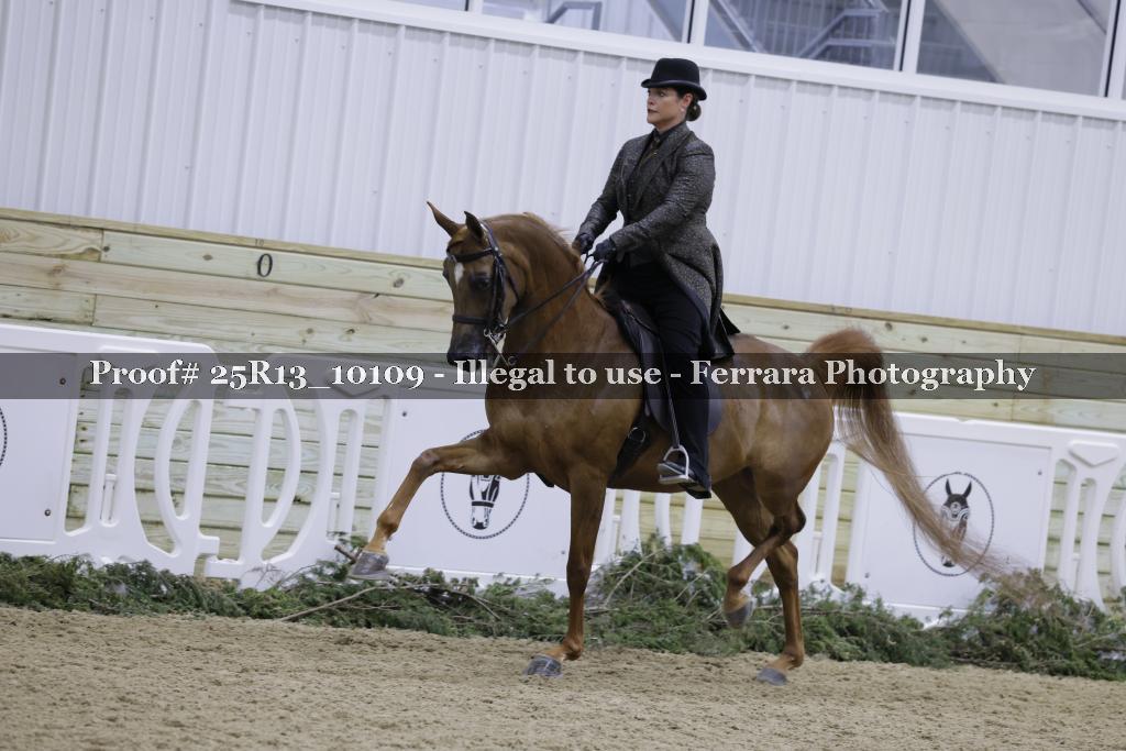 Proof 25R13_10109