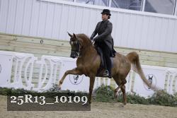 25R13_10109 proof
