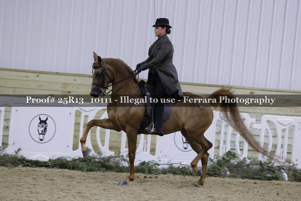 Proof 25R13_10111