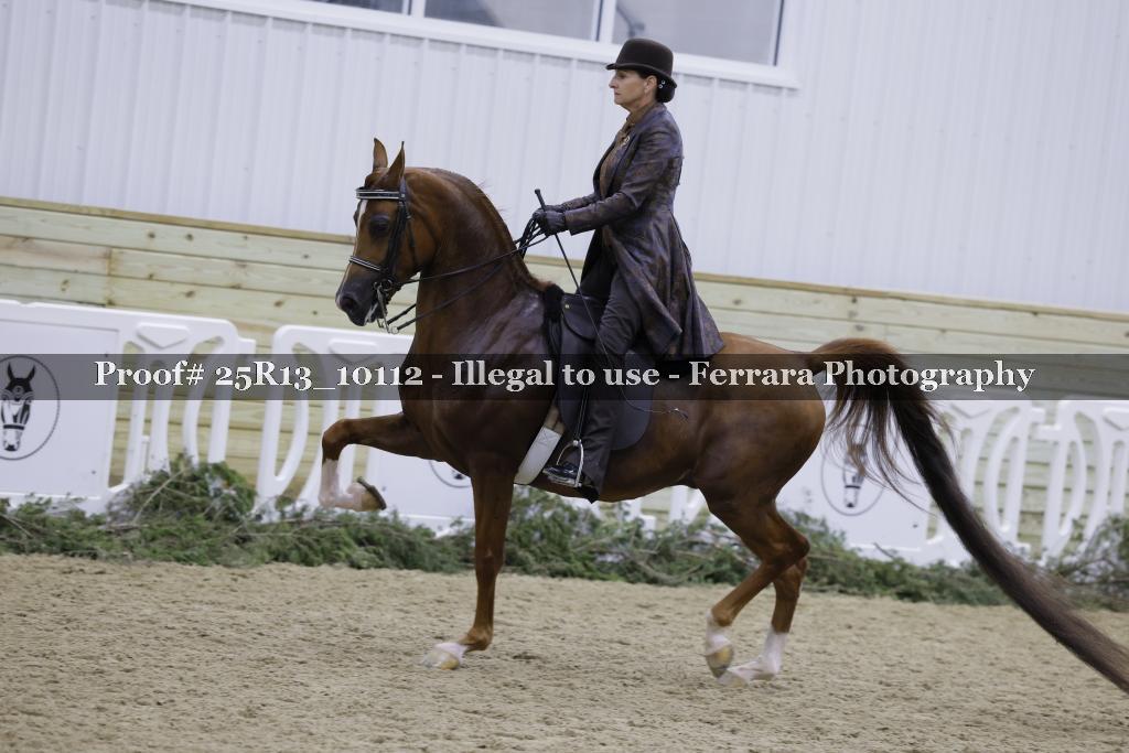 Proof 25R13_10112