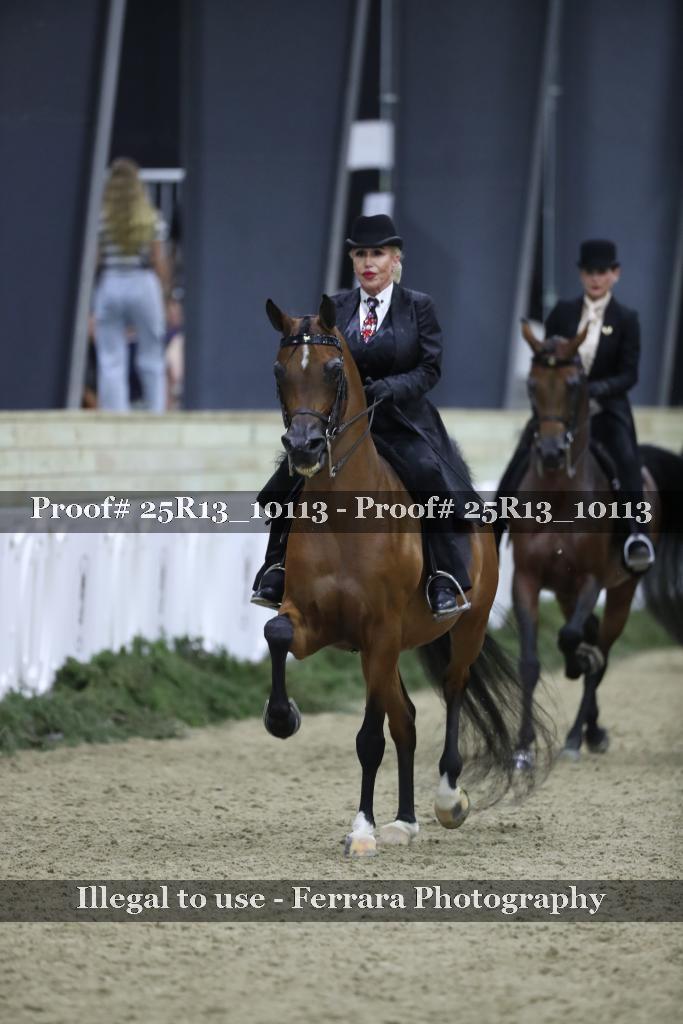Proof 25R13_10113
