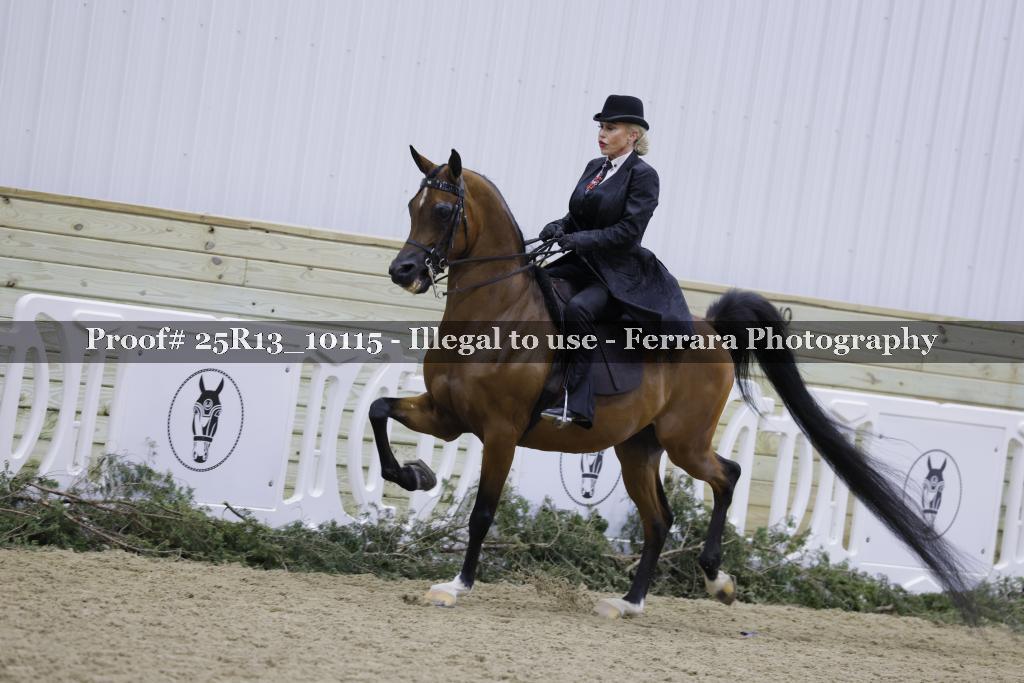 Proof 25R13_10115