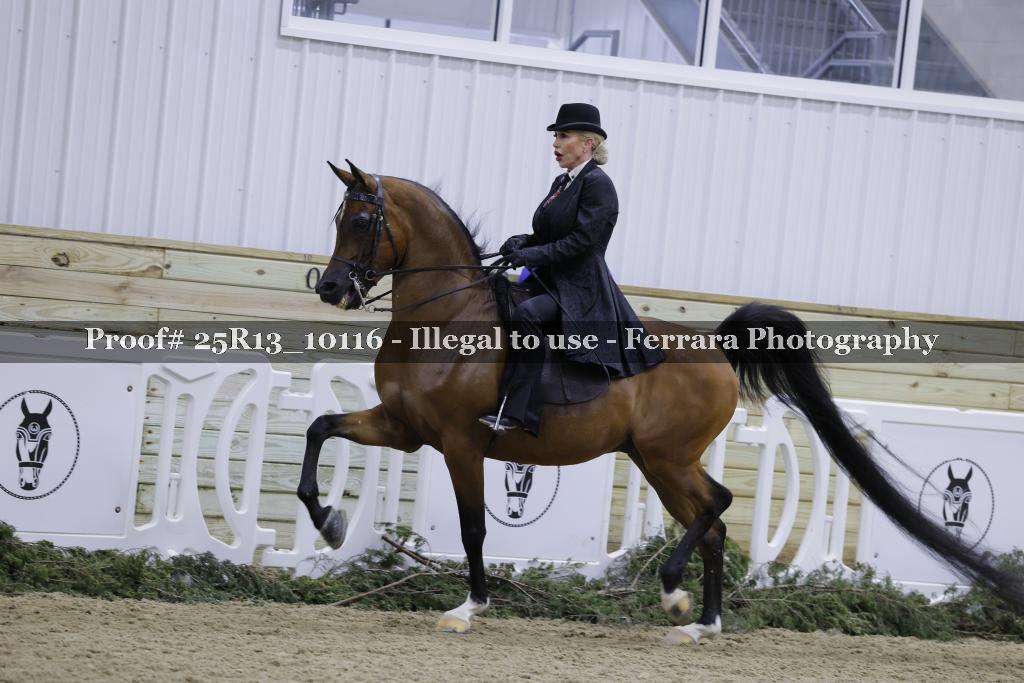 Proof 25R13_10116