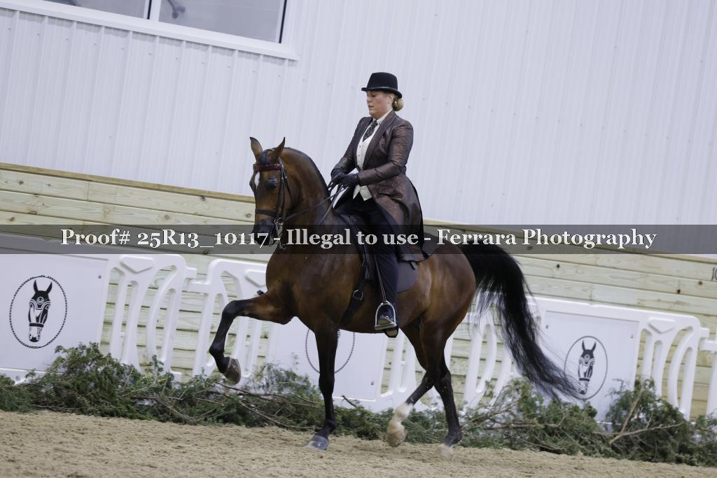 Proof 25R13_10117