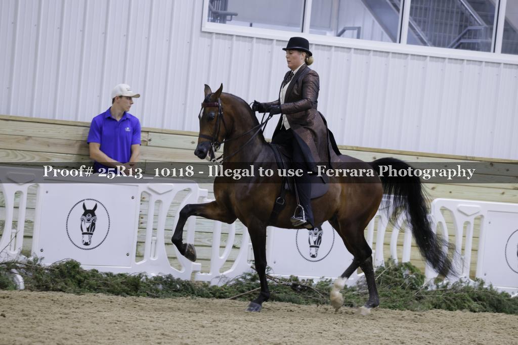 Proof 25R13_10118