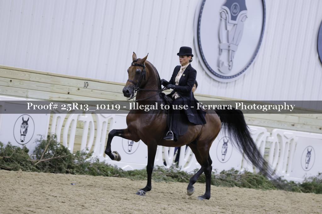 Proof 25R13_10119