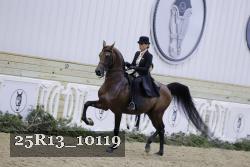 25R13_10119 proof