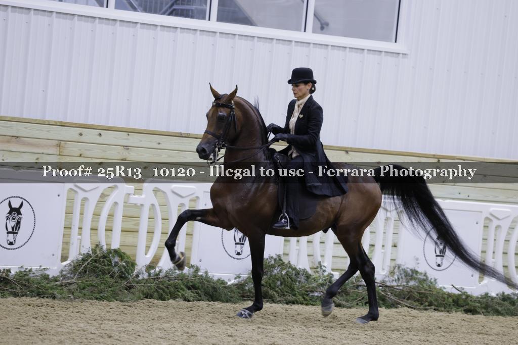 Proof 25R13_10120
