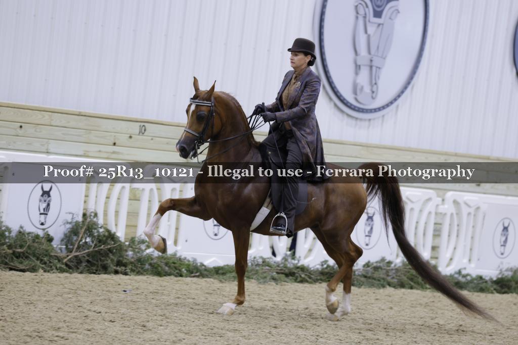 Proof 25R13_10121