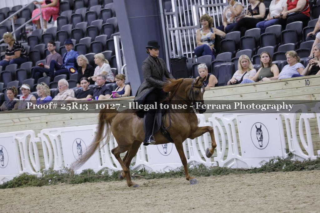 Proof 25R13_10127