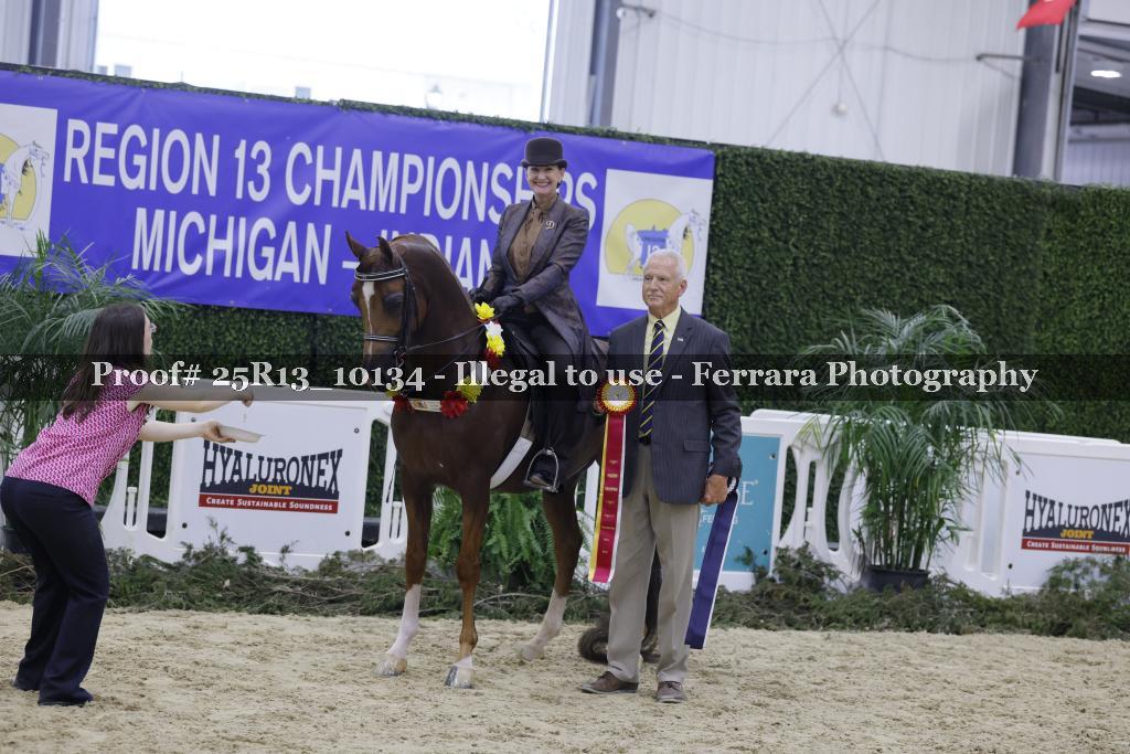 Proof 25R13_10134