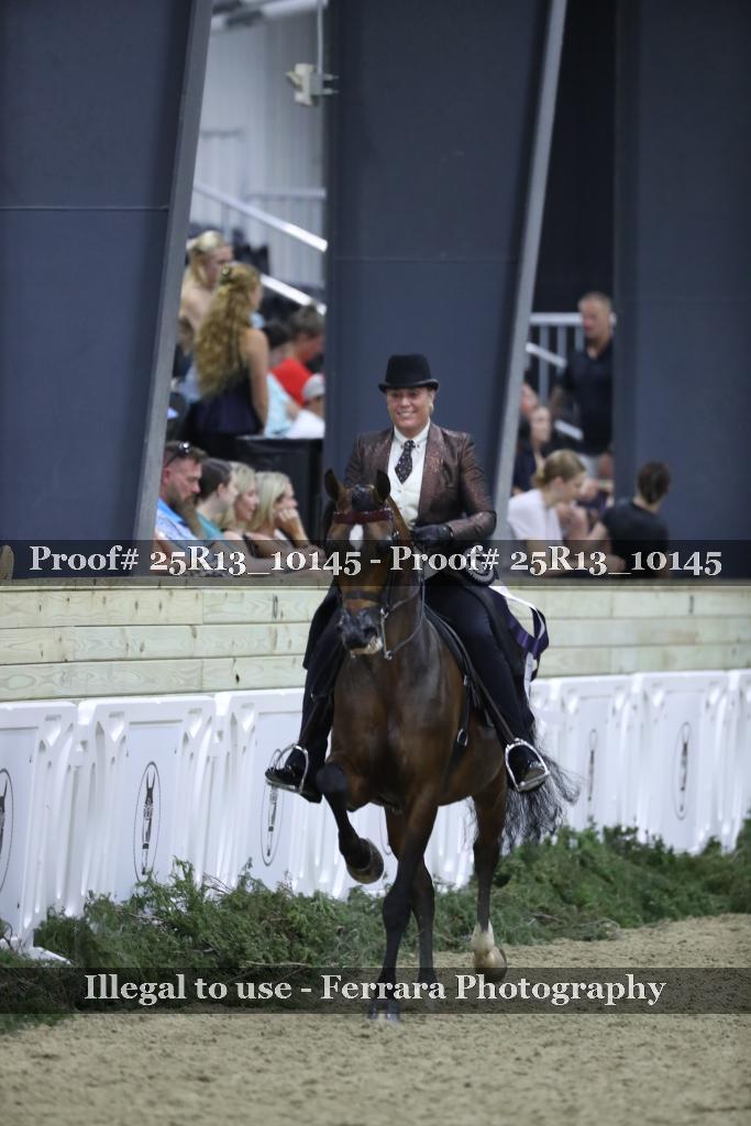 Proof 25R13_10145