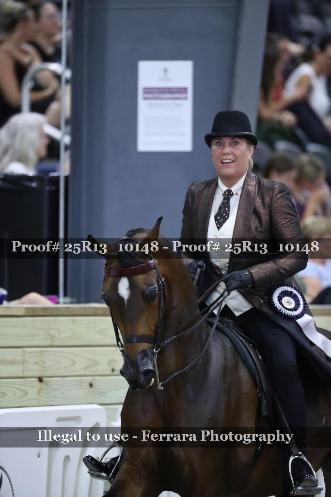 Proof 25R13_10148