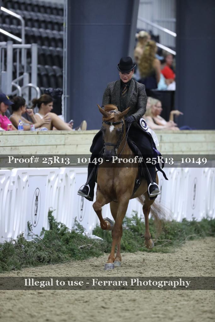 Proof 25R13_10149