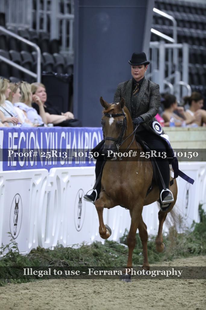 Proof 25R13_10150