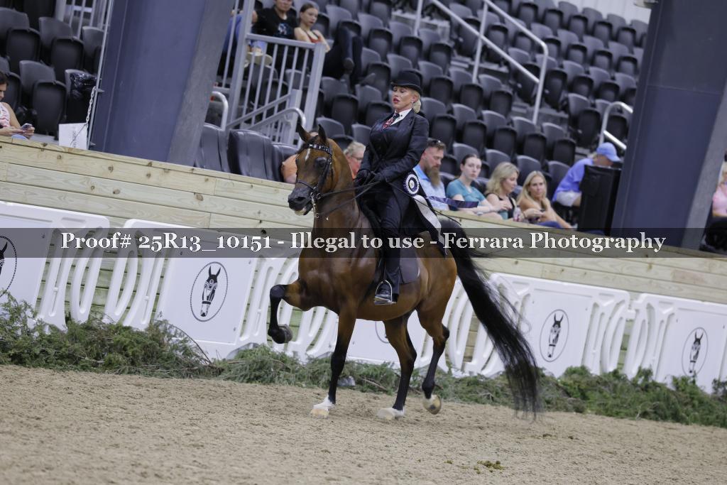 Proof 25R13_10151