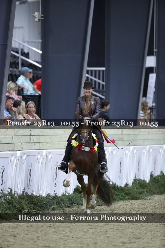 Proof 25R13_10155
