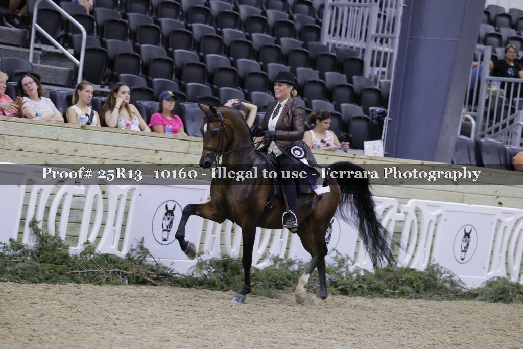 Proof 25R13_10160