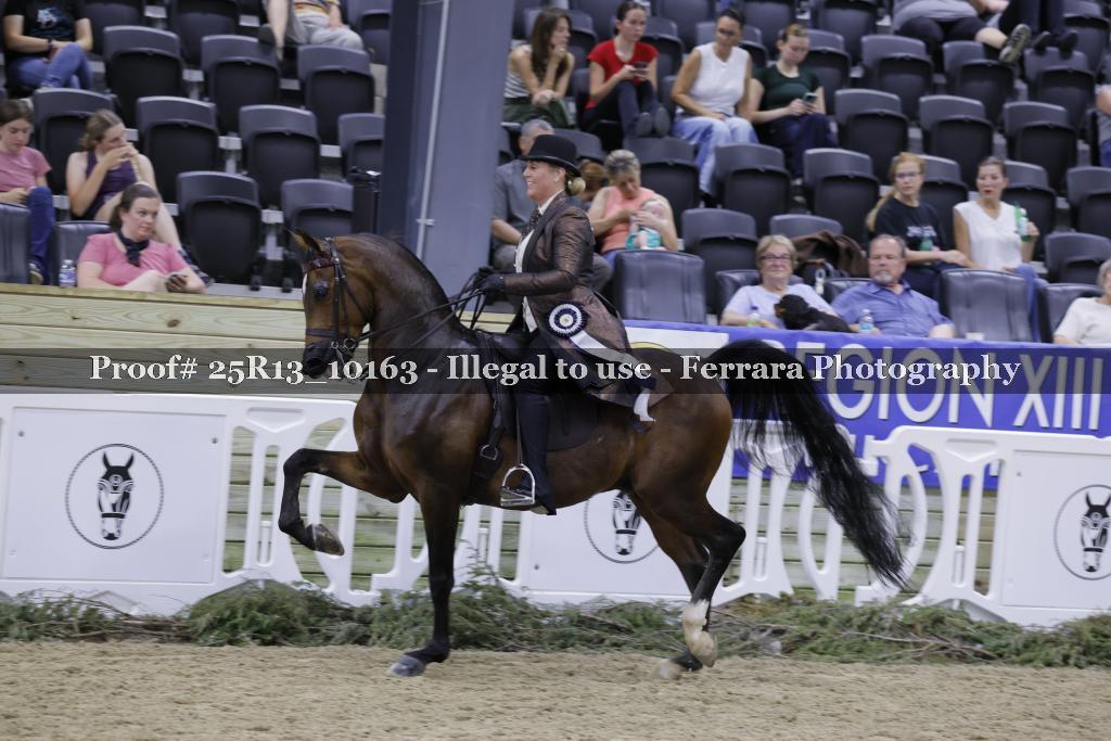 Proof 25R13_10163