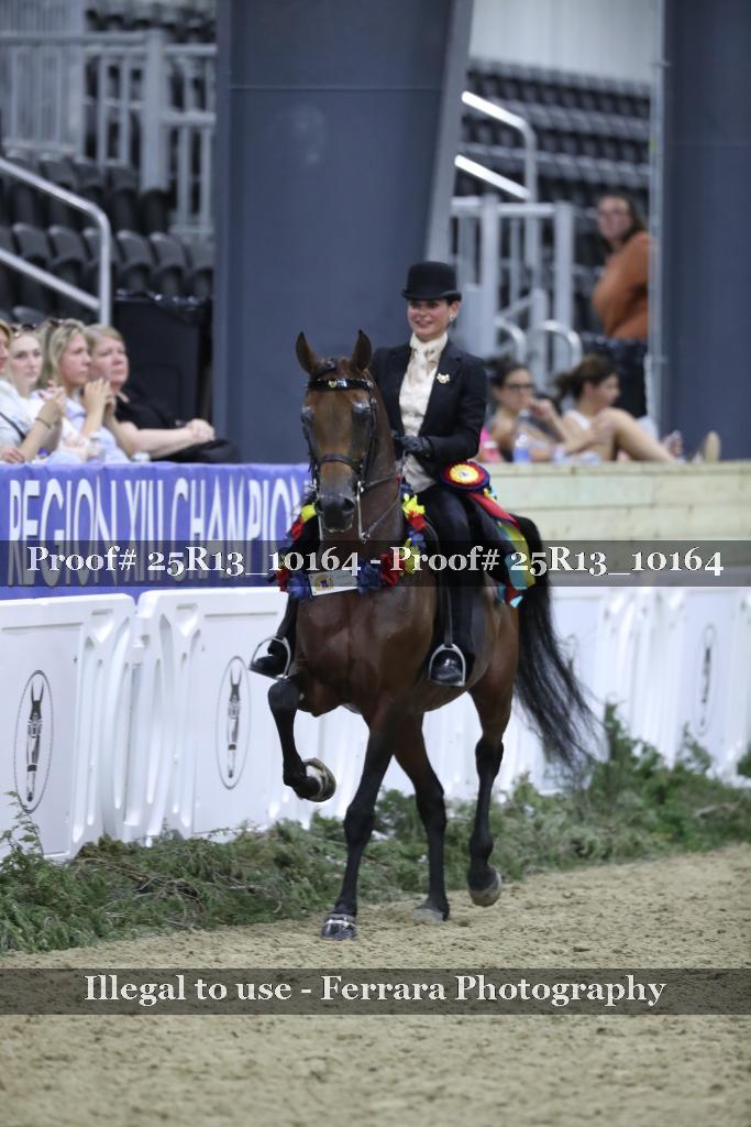 Proof 25R13_10164